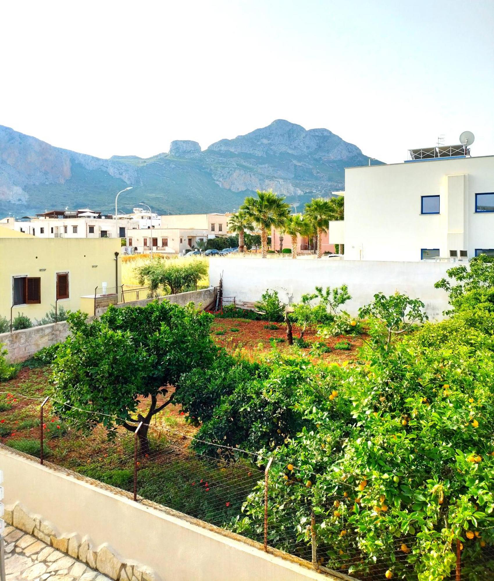 Appartamento Le Ginestre San Vito Lo Capo Exteriör bild